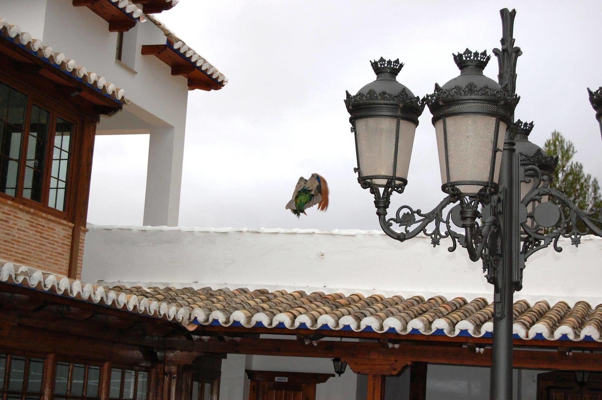 El Cortijo De Hotel